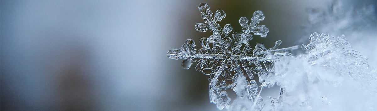 snow-flake-winter-ice
