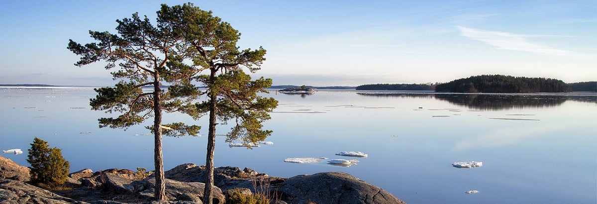huhtikuu-banneri-mps